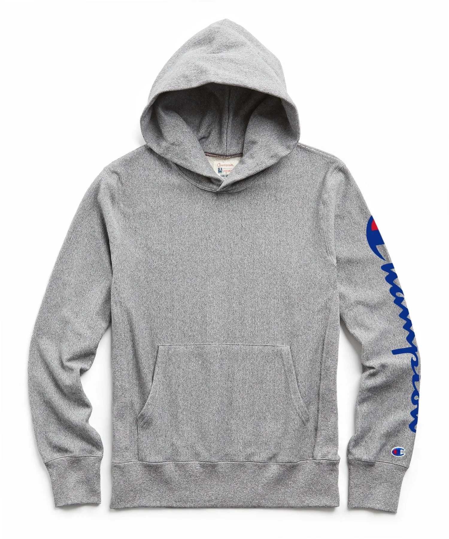 Champion   Looney Tunes Roadrunner and Wile E Coyote Hoodie in Light Grey Mix