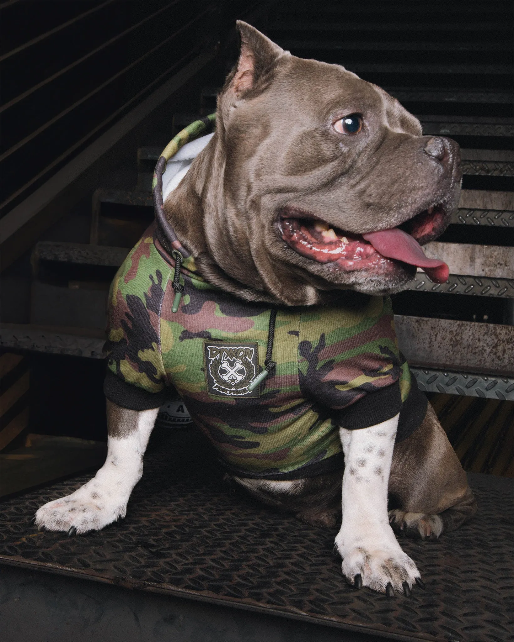 Dog Hoodie - Camo