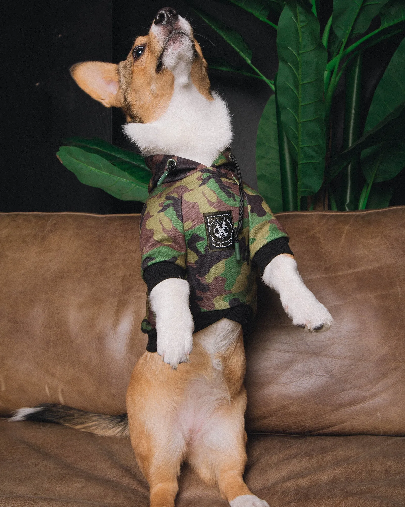 Dog Hoodie - Camo