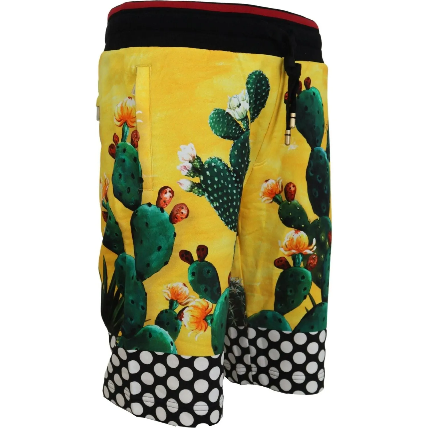 Dolce & Gabbana Multicolor Cactus Print Sweat Shorts