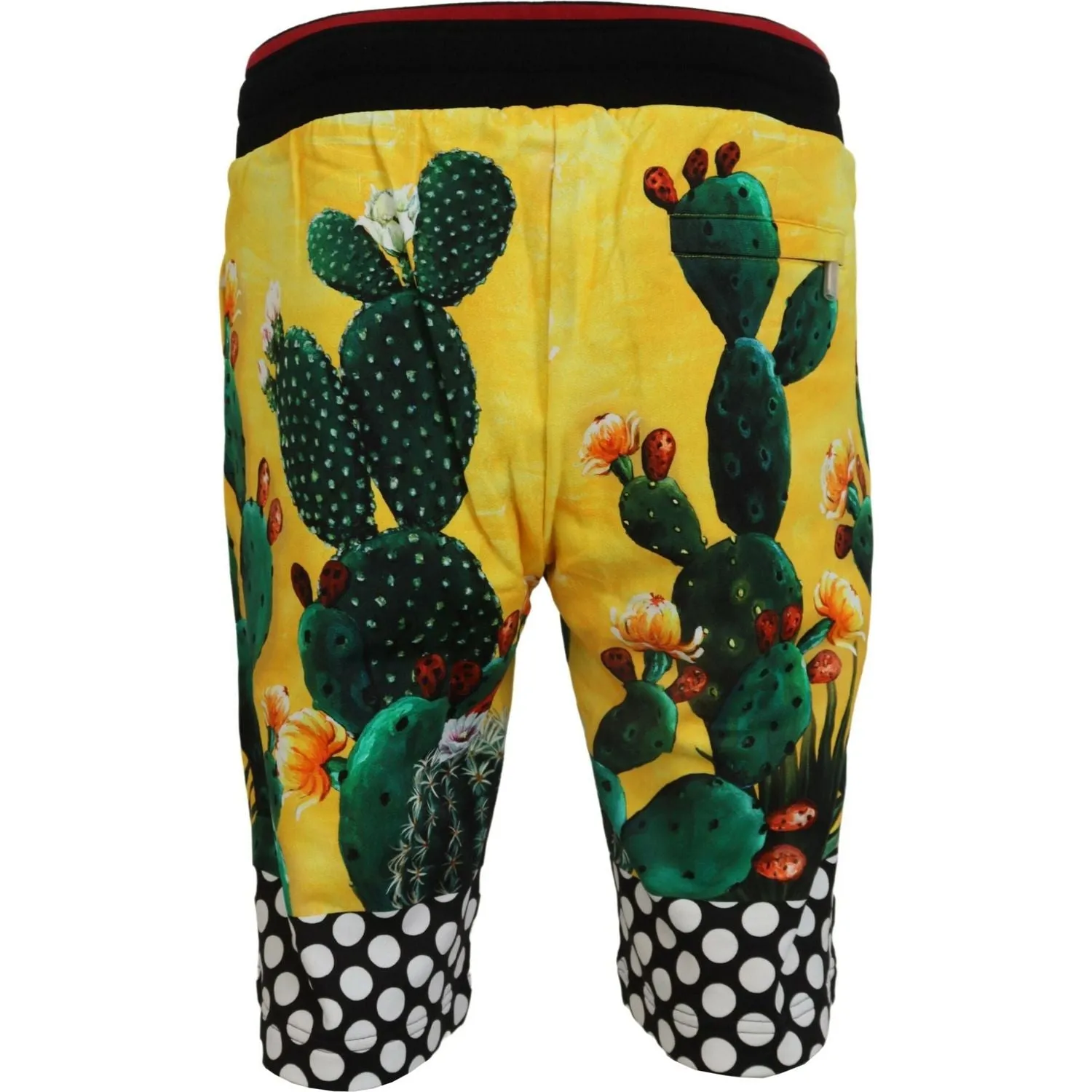 Dolce & Gabbana Multicolor Cactus Print Sweat Shorts