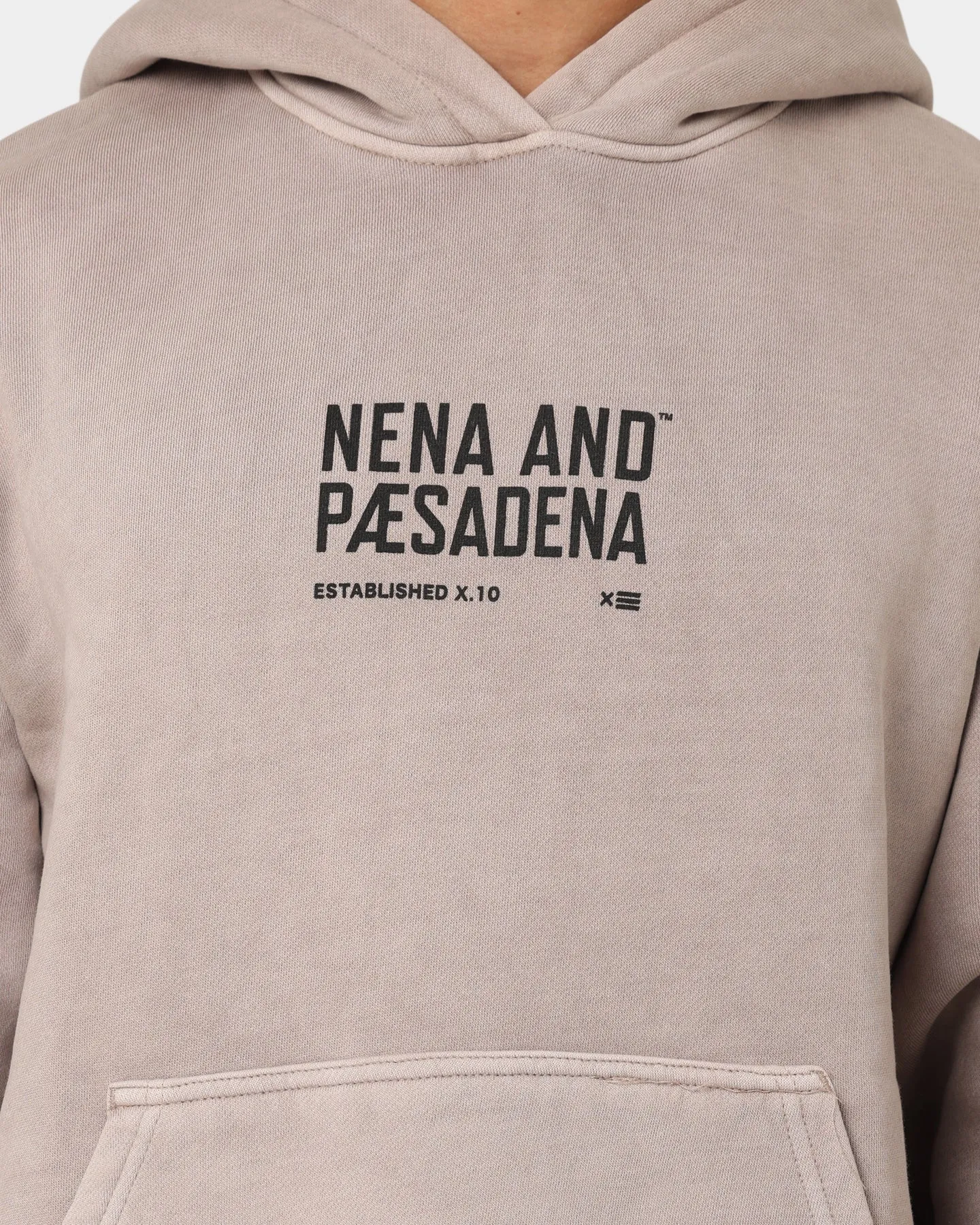 Nena and Pasadena Untamable Relaxed Hoodie Pigment Mushroom